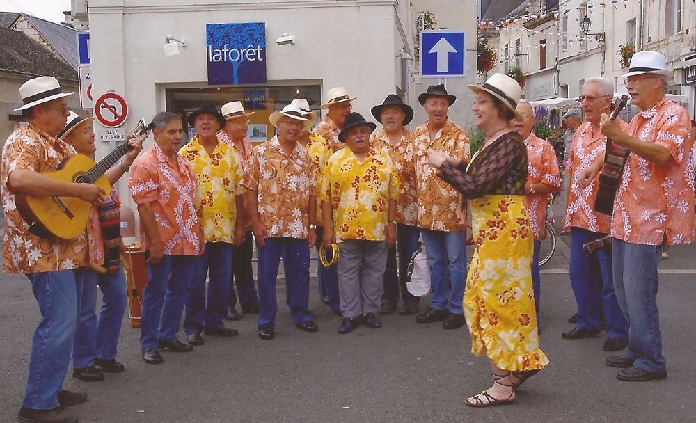 Touraine aout 2011 d